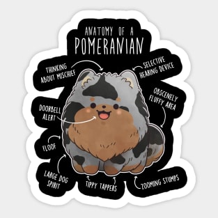 Blue Merle Pomeranian Dog Anatomy Sticker